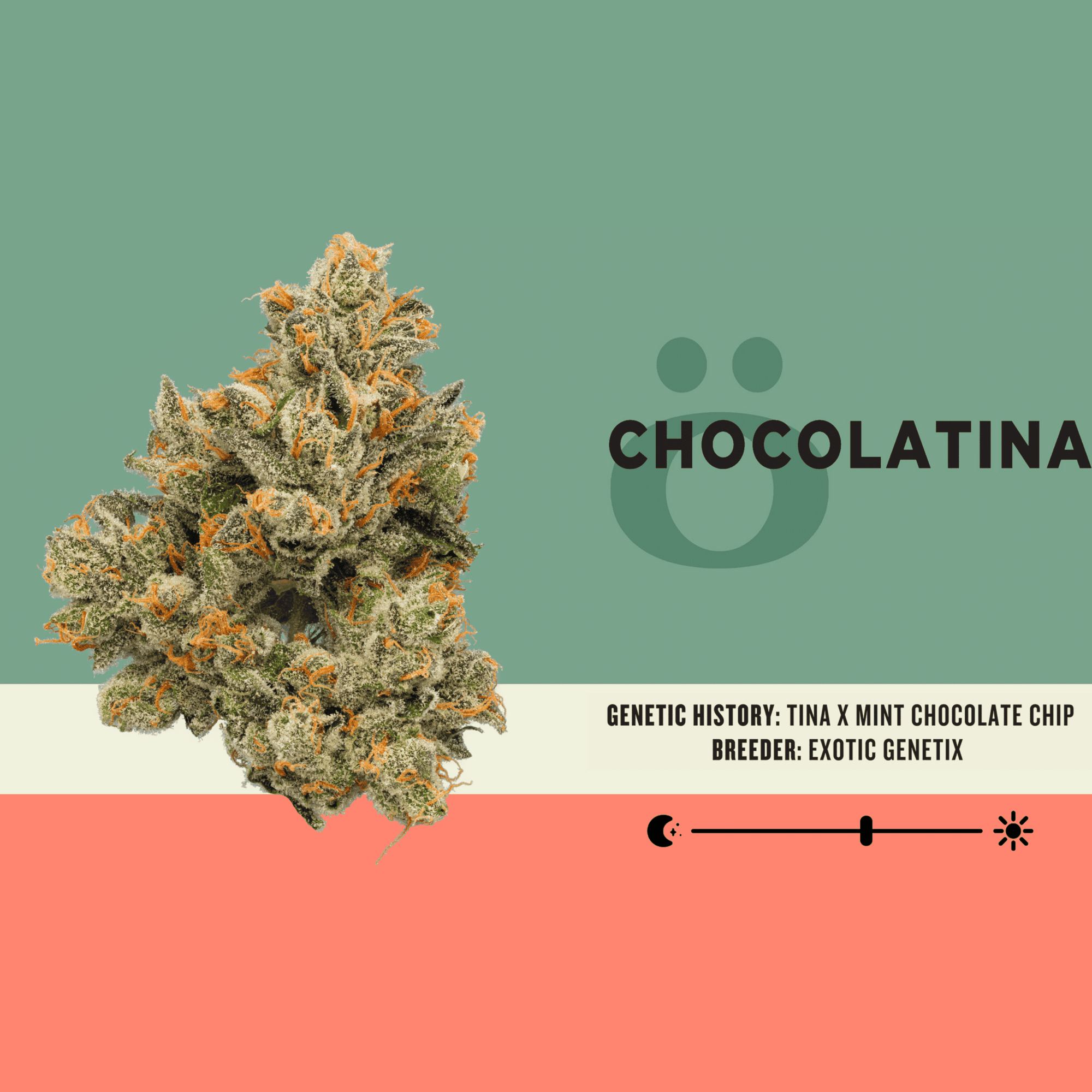 Clear Choice Dispensary Menu - yqyczym
