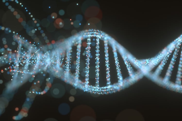 cannabis breeding dna