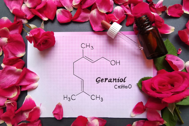 Geraniol 1