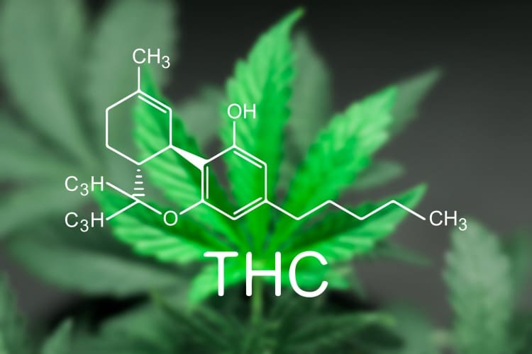 THC molecule