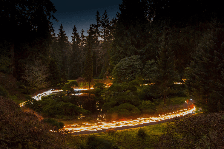 What to do in Bremerton Solstice Walks