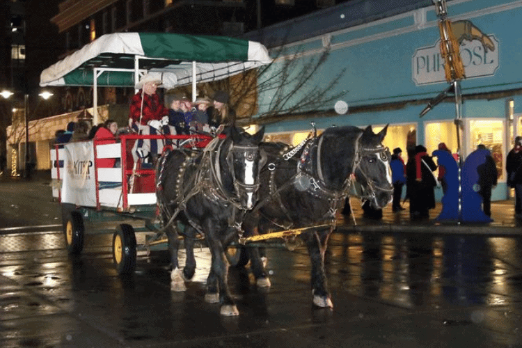 What to do in Bremerton horse carriage