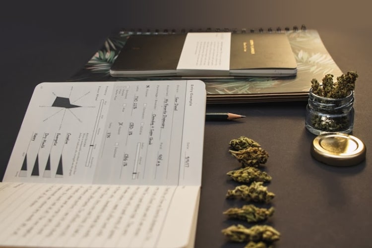 cannabis journal 2