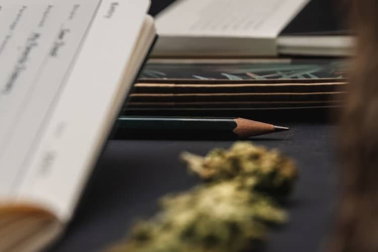 cannabis journal 3