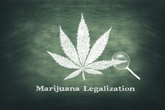 Stoner Guide 101 Marijuana Legalization